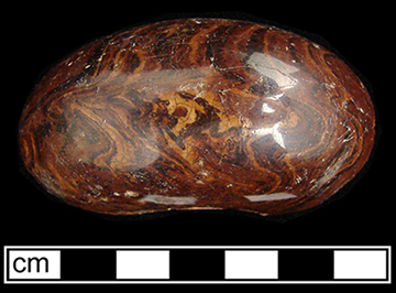 Agate doorknob. Photo below shows agatized body on a broken surface, as well as the indention where the doorknob hardware was inserted - from 18AP14 Victualling Warehouse.