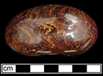 Agate doorknob. Photo on right shows agatized body on a broken surface, as well as the indention where the doorknob hardware was inserted - from 18AP14 Victualling Warehouse.