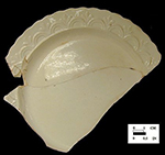 Rim sherds with molded decoration  from 18PR175 Oxon Hill. This pattern may represent early 19th-century creamware produced in Liverpool. 
