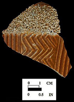 Body sherd with raised cordons and rustication, Angelica Knolls, 18CV60 /1.119.