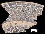 Charger with blue painted motif and lead glazed back, rim sherd. (interior on left, close up of exterior on right).