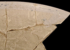 Charger with blue painted motif and lead glazed back, rim sherd. (interior on left, close up of exterior on right).