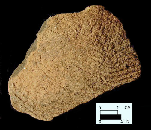 Accokeek cord-marked exterior body sherd from Dorr, site 18AN19 /69. 