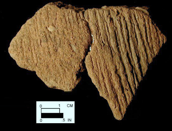 Accokeek cord-marked body sherds from Dorr, site 18AN19/69.