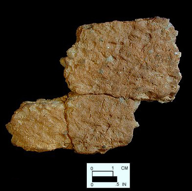 Accokeek cord-marked sherds from Bathhouse site 18AN37.