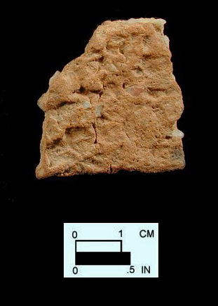 Accokeek Body sherd (exterior) from the Bathhouse site 18AN37.