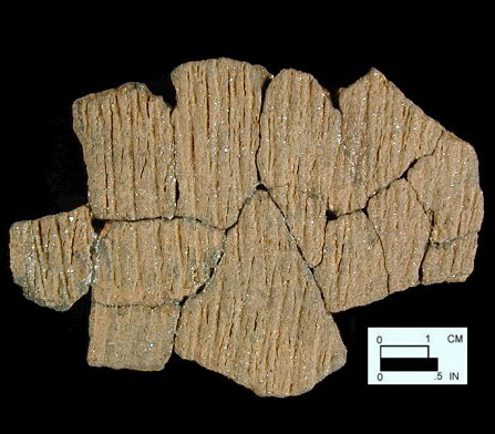 Accokeek cord-marked, mica-tempered sherds from Kettering Park, site 18PR174/278.