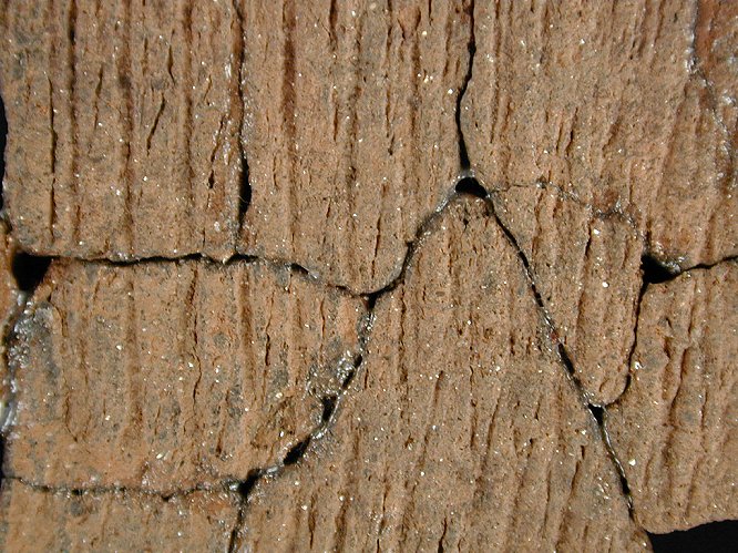 Accokeek cord-marked, mica-tempered sherds close up view, from Kettering Park, site 18PR174/278.