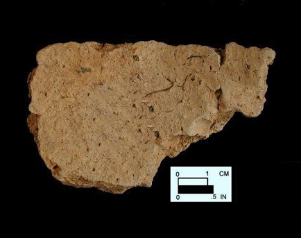 Coulbourn rim sherd - interior surface, from Wessel, site 18CA21/579.