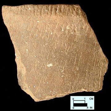 Keyser smoothed over cord-marked rim sherd from Hughes site 18MO1, Feature 22.