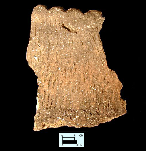 Keyser cord-marked pie crust rim sherd from Hughes site 18MO1, Feature 22.