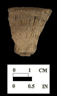 Cord-marked Monongahela rim sherd from the Sang Run site 18GA22-2.