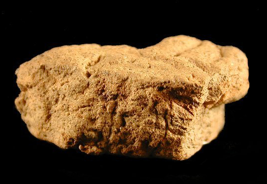 Coulbourn sherd cross-section paste shot from Haddock, site 18WO161/4.