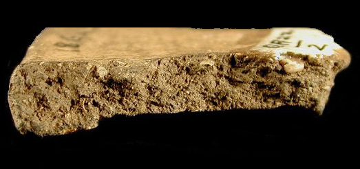  Paste shot of a shell-tempered Monongahela body sherd cross-section from the Sang Run site 18GA22-2.