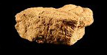 Paste shot of a Coulbourn ceramic sherd - click image to see a larger view.