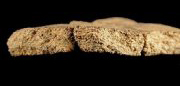 Body sherd cross-section of a Moyaone sherd - click on image and it will open a larger view. 