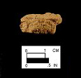 Coulbourn sherd cross-section from Haddock, site 18WO161/4.