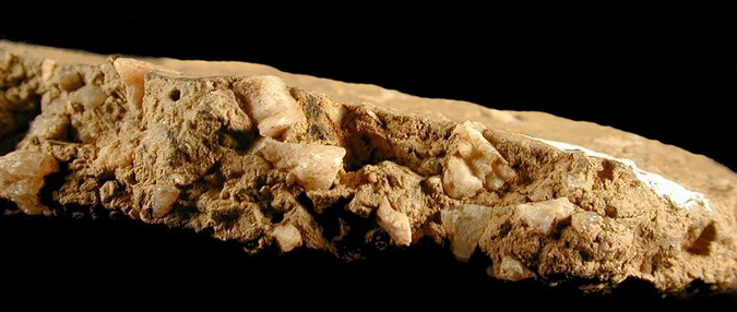 Wolfe Neck body sherd cross-section showing paste, from Wessel site, 18CA21/548.