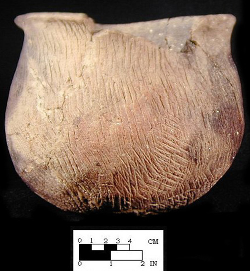 Keyser cord-marked vessel with perforated node from the Keyser Farm site, 44PA1. SI Cat.# 382985-Courtesy of the Smithsonian Institution, Museum of Natural History, Department of Anthropology.