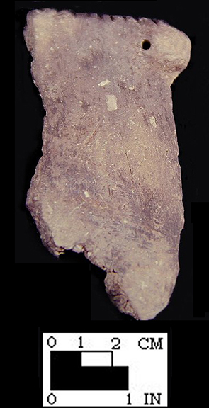 Keyser rim sherd with perforated node/lug from the Hughes site, 18MO1-SI Cat.# 392275-Courtesy of the Smithsonian Institution, Museum of Natural History, Department of Anthropology.