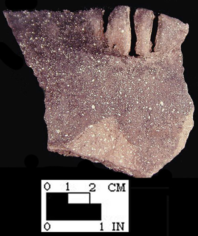 Keyser rim sherd with perforated node/lug from the Hughes site, 18MO1-SI Cat.# 392275-Courtesy of the Smithsonian Institution, Museum of Natural History, Department of Anthropology.