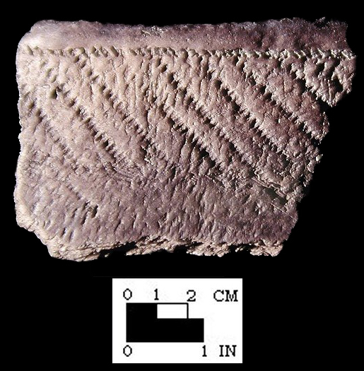 Potomac Creek cord-wrapped stick decorated rim sherd, from the Potomac Creek site 44ST2 - SI Cat. #378692, Courtesy of the Smithsonian Institution, Museum of Natural History, Department of Anthropology.