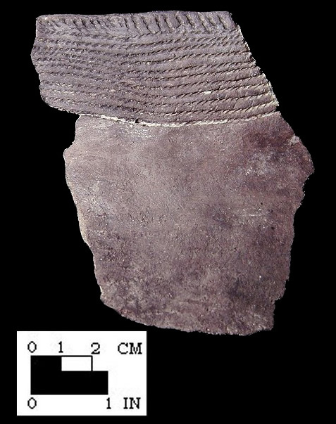 Potomac Creek cord-impressed rim sherd, from the Potomac Creek site 44ST2 - SI Cat. #385233, Courtesy of the Smithsonian Institution, Museum of Natural History, Department of Anthropology.