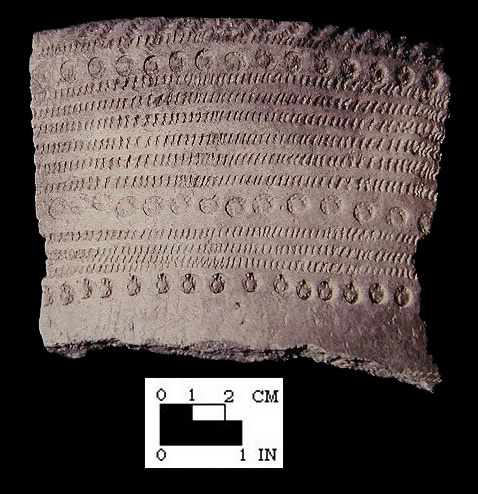 Potomac Creek decorated rim sherd, from the Potomac Creek site 44ST2 - SI Cat. #385233, Courtesy of the Smithsonian Institution, Museum of Natural History, Department of Anthropology.