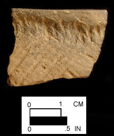 Shultz rim sherd from the Herman Barton Village site 18AG3/259.