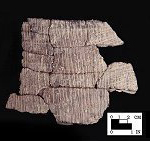 Accokeek S-twist cord-marked sherds from Hallowing Point site 18CV31, SI Cat.# 401960-Courtesy of the Smithsonian Institution, Museum of Natural History, Department of Anthropology.