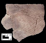Accokeek cord-marked rim sherd from Piscataway site 18PR7-SI Cat.# 461923-Courtesy of the Smithsonian Institution, Museum of Natural History, Department of Anthropology.