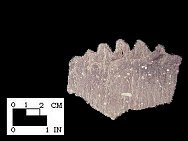 Keyser pie crust rim sherd with cord-wrapped paddle marks from the Hughes site, 18MO1-SI Cat.# 396761-Courtesy of the Smithsonian Institution, Museum of Natural History, Department of Anthropology.