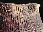 Close-up of perforated node from a Keyser vessel from the Keyser Farm site, 44PA1. SI Cat.# 382985-Courtesy of the Smithsonian Institution, Museum of Natural History, Department of Anthropology.