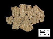 Accokeek cord-marked, mica-tempered sherds. Close up view on right from Kettering Park, site 18PR174/278.