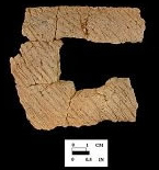 Coulbourn cord-marked mended rim sherds from Wessel, site 18CA21/579.