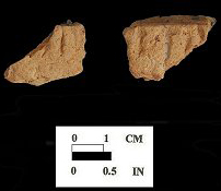 Coulbourn rim sherds from Haddock, site 18WO161/4.