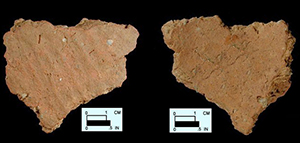 Dames Quarter exterior surface of body sherd from Nassawango, site 18WO23/6K.