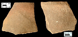 Keyser smoothed over cord-marked rim sherd from Hughes site 18MO1, Feature 22.