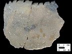 Keyser notched rim sherd from Hughes site 18MO1, Feature 45.