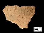 Keyser cord-marked body sherd from Hughes site 18MO1, Feature 53.