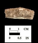 Wolfe Neck cross-section of sherd from Conowingo site 18CE14/161.