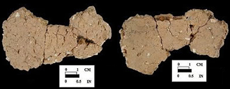 Wolfe Neck exterior surface of mended body sherds, from the Wessel site 18CA21/548.