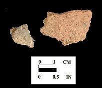 Wolfe Neck body sherds from Conowingo site 18CE14/161.