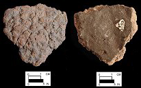 Wolfe Neck net-impressed body sherd (exterior surface) from site 18CE114/26.