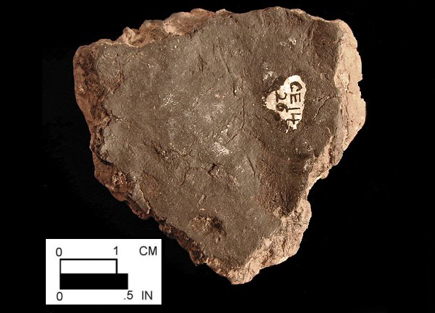 Wolfe Neck net-impressed body sherd (interior surface) from site 18CE114/26.