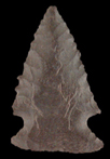 Thumbnail image of a Palmer point.