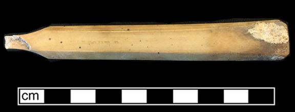 Bone handled toothbrush stamped “Warranted” on the reverse. Elongated hexagonal handle. Privy 5, filled between 1829-1837. 18BC79