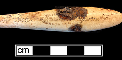 Bone handle with teardrop shape toothbrush with wire drawn attachment and copper alloy staining on back. Stamped on front: “England” near stock and “Hochschild Kohn & Co. Baltimore” and “Drawn Wire/Sterling/Silver Wire” on handle. 18BC92