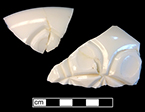Opaque white glass, possible bowl, molded (?)-18PR175.