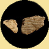 Thumbnail of Vinnette pottery sherds , when clicked on will open the ware description for this type.
